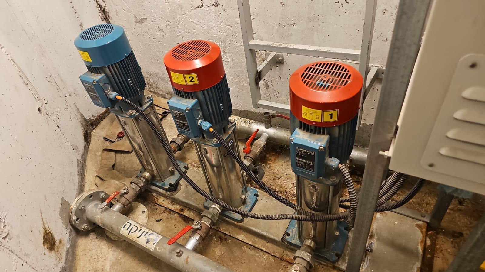 תמונת פרויקט 6